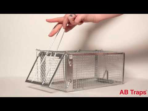 How to use AB Traps Humane Trap